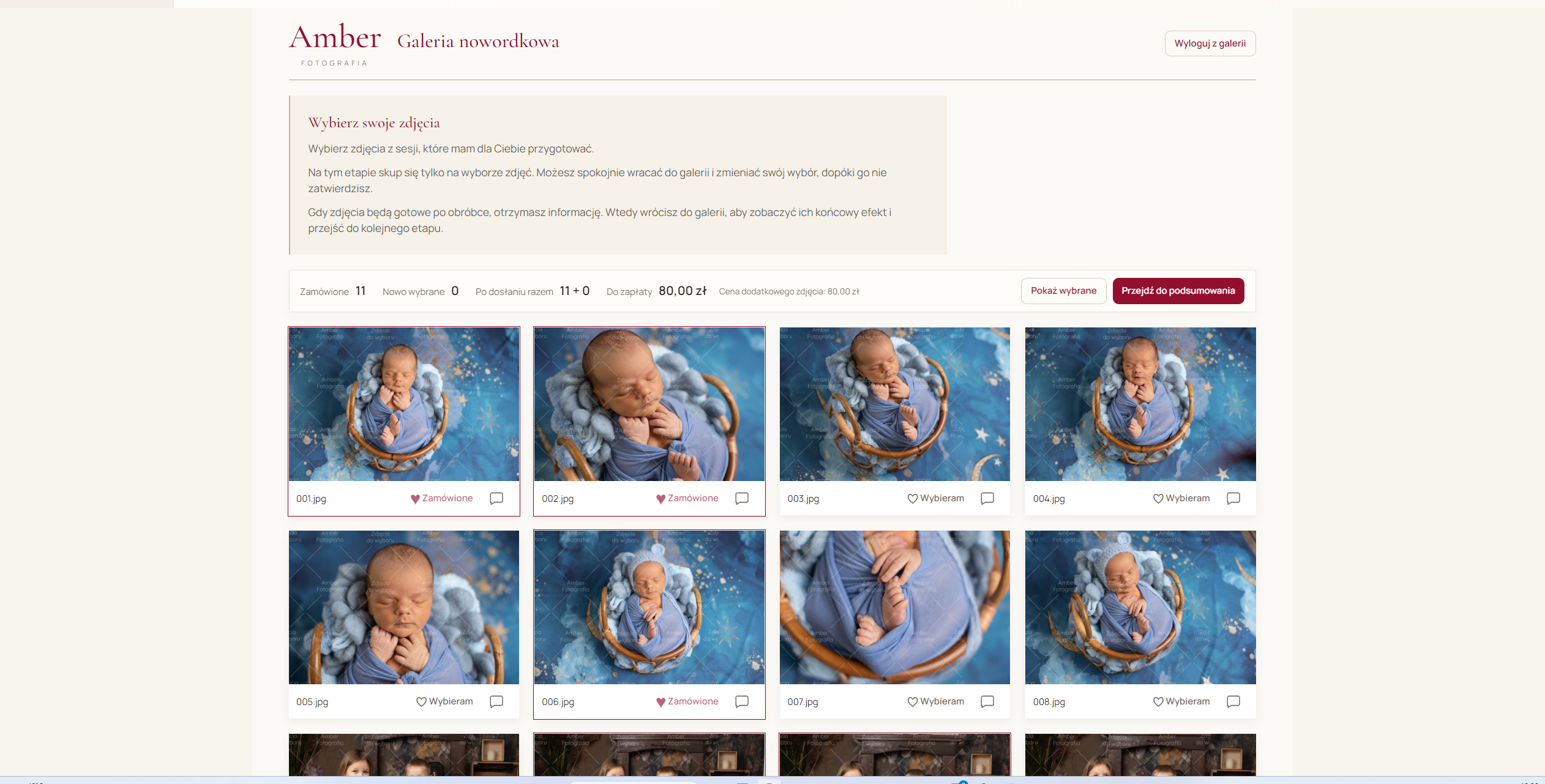 Galeria Amber Fotografia: wybór zdjęć z licznikiem pakietu i kwotą dopłaty